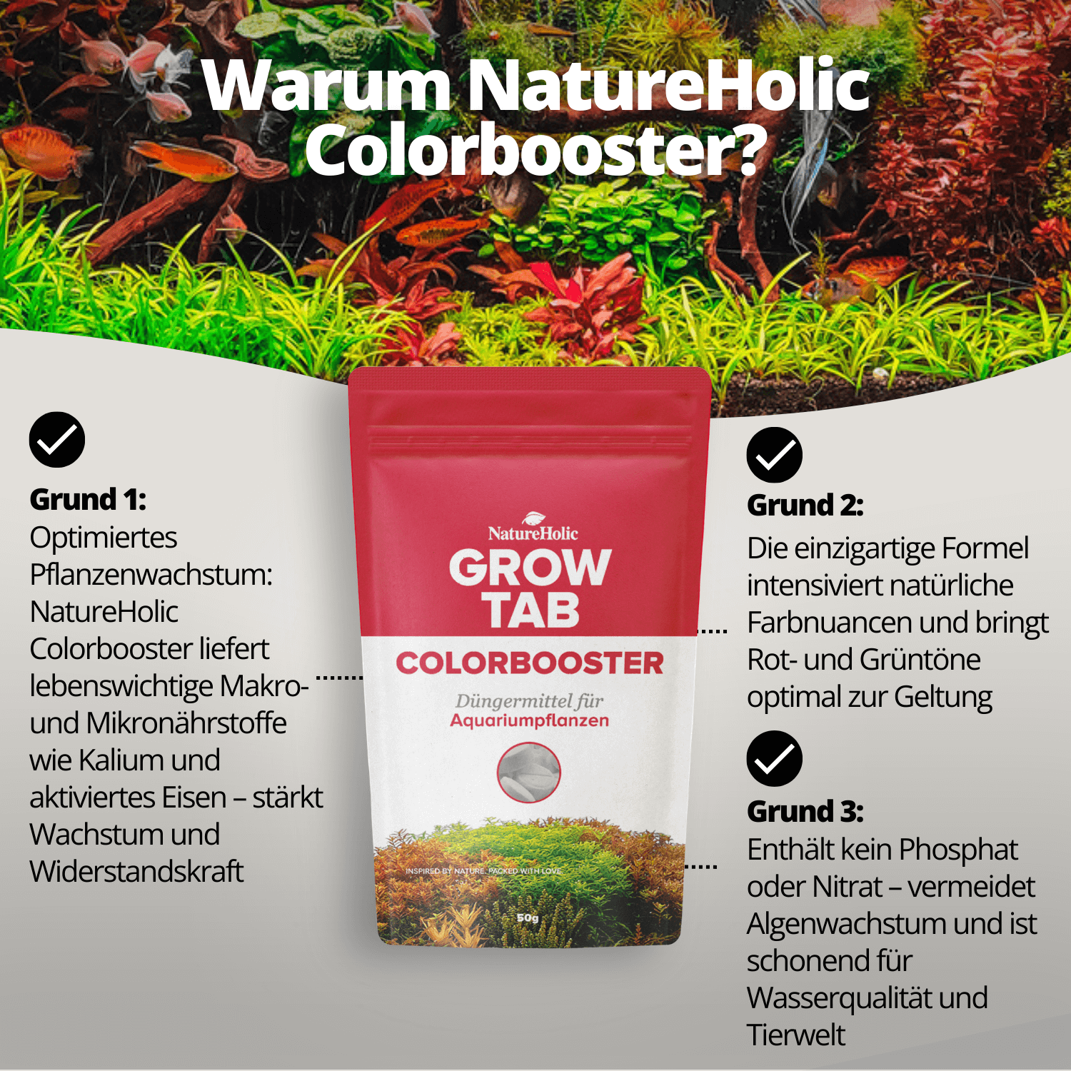 Beutel mit NatureHolic Grow Tab Colorbooster vor Aquascape